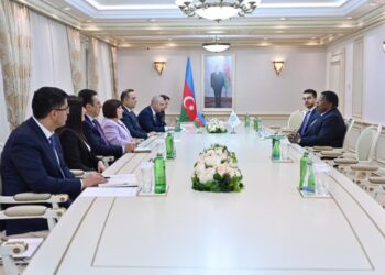 Milli Məclisin sədri Parlamentlərarası İttifaqın Baş katibi ilə görüşüb