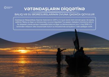 Bu gündən Azərbaycanda balıq ovu qadağan edilir