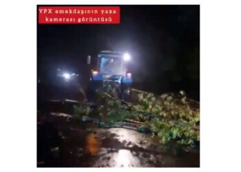 Yol polisi: Ağac yola aşıb, maşınların hərəkətində çətinlik yaranıb