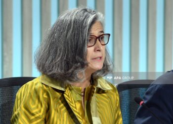 BMT rəsmisi: Şəhərlərin genişlənməsinə diqqətlə yanaşmalıyıq