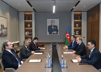 D-8-in Baş katibi: WUF-13 yüksək səviyyədə təşkil olunub