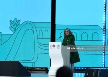 BMT: Dünya Bakıdan verilən çağırışı eşitməlidir