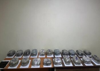 İrandan Azərbaycana 20 kq narkotik keçirilməsinin qarşısı alınıb
