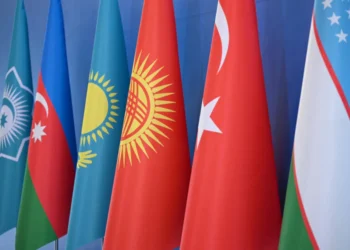 TDT ölkələrinin liderləri WUF13-də fəal iştirak edəcəklər