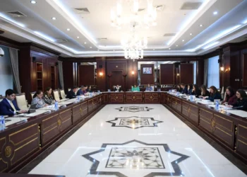 Parlamentin komitə iclasında Ailə, Qadın və Uşaq Problemləri üzrə  Dövlət Komitəsinin məlumatı müzakirə olunub