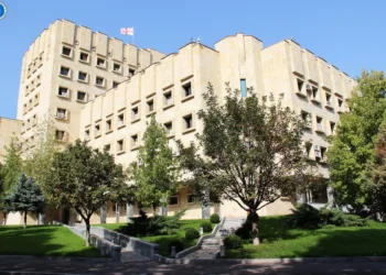 Gürcüstan sərhədində Ermənistandan gətirilən 11 milyon dollardan artıq narkotik aşkarlanıb