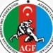 Azərbaycanın 2 güləşçisi Rusiyada keçirilən turnirdə bürünc medal qazanıb