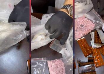 Qaçaqmalçılıq yolu ilə gətirilən 869 kiloqram narkotik aşkarlanıb – RƏSMİ