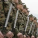 NATO bu ölkələri qorumaq üçün hərəkətə keçir