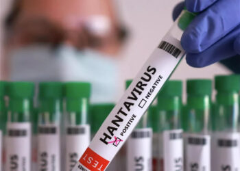 ÜST hantavirusa yoluxma hallarının sayını yenidən artıraraq 11-ə çatdırıb