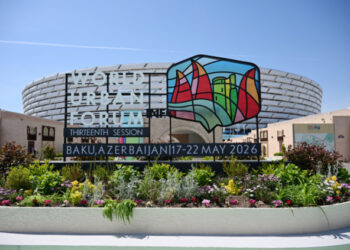 WUF13: Azərbaycanın beynəlxalq arenada yeni uğuru