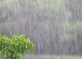 Hava şəraiti dəyişəcək – XƏBƏRDARLIQ