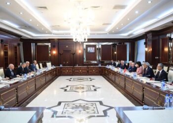 Türkiyəli deputatlar Milli Məclisdə olublar