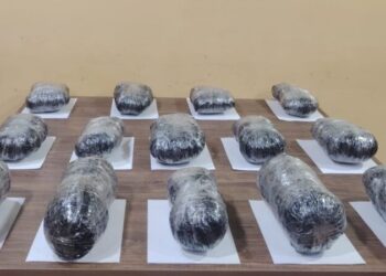 İrandan Azərbaycana PUA ilə narkotik keçirilməsinin qarşısı alındı