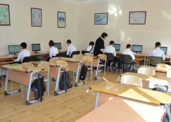 DİM: Ortastatistik məzun təhsil proqramının 40–77%-ni mənimsəmir