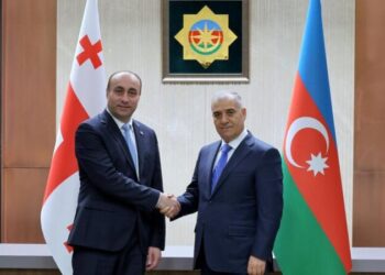 Gürcüstan DTX-nin rəisi Azərbaycana gəldi