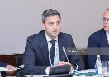 Baş direktor: Enerji səmərəliliyi Azərbaycanın əsas strateji hədəflərindən birinə çevrilib
