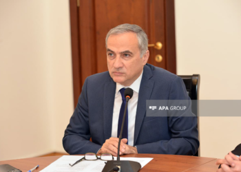 Fərid Şəfiyev: Bizə Ermənistanın sülh prosesinə referendumla münasibət bildirməyi lazımdır