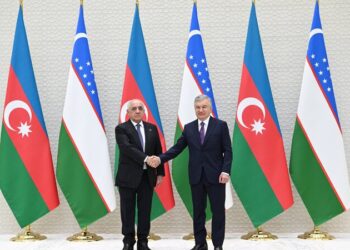 Əli Əsədov Şavkat Mirziyoyevlə görüşdü
