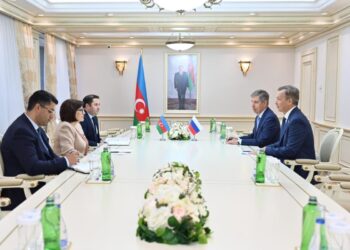 Milli Məclisin sədri Rusiya Federasiya Şurası sədrinin birinci müavini ilə görüşüb