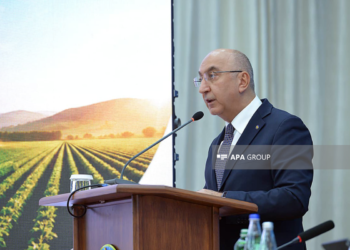 Sədr müavini: Aqrar sahədə Dövlət Proqramının icrası üçün Qazax-Tovuz iqtisadi rayonunda geniş imkanlar var