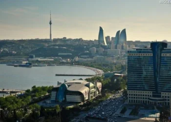 İtkin şəxslərin axtarışı üçün yeraltı radarlar alınacaq
