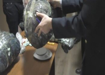 Dövlət Komissiyası narkotiklərlə bağlı yarımillik hesabat açıqladı