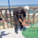 FHN-in Sumqayıt Regional Mərkəzi təlim keçirib – FOTO