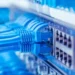 Azərbaycandakı internet trafikində botların payı kəskin azalıb