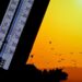 Onilliklərin ən güclü temperatur xəbərdarlığı