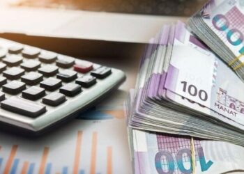 Son 5 ildə Təhsil Tələbə Krediti Fondu 124,8 milyon manat xərcləyib