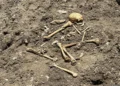 Ağdamda qazıntı zamanı insan skeletinə bənzər qalıqlar aşkarlanıb