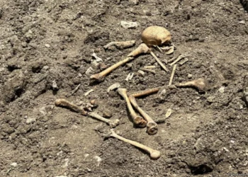 Ağdamda qazıntı zamanı insan skeletinə bənzər qalıqlar aşkarlanıb