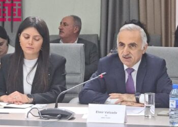 “Uşaqları qorumaq məqsədilə qanunvericiliyə dəyişikliklərin edilməsi 40-dan çox ölkədə müzakirə olunur”