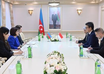 Milli Məclisin sədri İndoneziyanın ölkəmizdəki səfirini qəbul edib