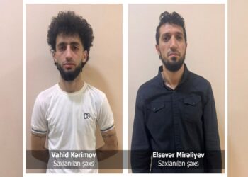 Sabunçuda 19 kq marixuana aşkarlanıb – VİDEO