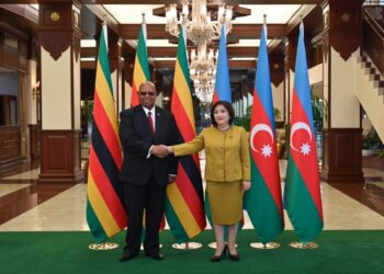 Milli Məclis və Zimbabve Milli Assambleyasının sədrlərinin görüşü olub