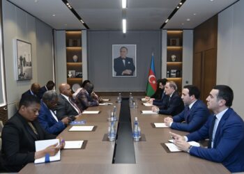 Azərbaycan XİN rəhbəri Zimbabve Milli Assambleyasının sədri ilə görüşüb
