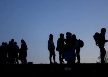 Bu il 5 minə yaxın əcnəbi qanunsuz miqrasiyaya görə saxlanılıb, 800-dən çoxu Azərbaycandan çıxarılıb
