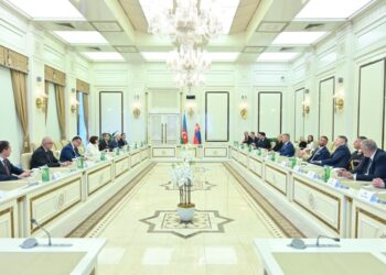 Milli Məclisin sədri Slovakiya Prezidenti ilə görüşüb