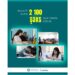 Bu il əlilliyi olan 2 100 şəxs işlə təmin edilib