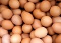 Yumurtalarda ölümcül salmonella şübhəsi! Tonlarla məhsul geri çağırıldı