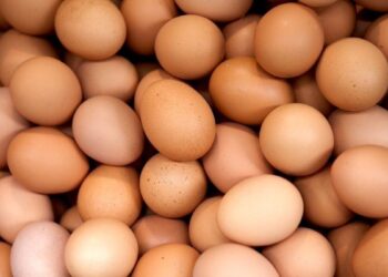 Yumurtalarda ölümcül salmonella şübhəsi! Tonlarla məhsul geri çağırıldı