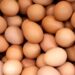 Yumurtalarda ölümcül salmonella şübhəsi! Tonlarla məhsul geri çağırıldı