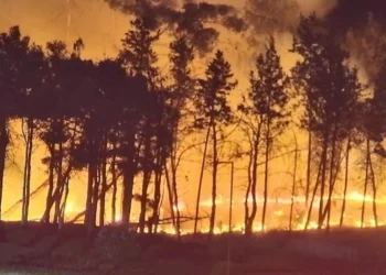 “Biləcəri” dairəsində yanğınla bağlı nəqliyyat vasitələrinin hərəkətinə məhdudiyyət tətbiq olunub
