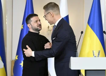 Stubb və Zelenski Rusiyanın Kiyevə genişmiqyaslı hücumunu müzakirə ediblər