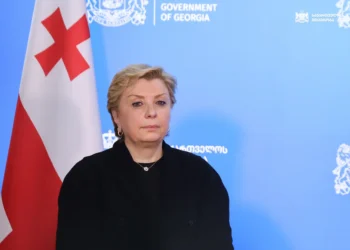 Gürcüstanın mədəniyyət naziri istefa verib