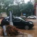 Çində daşqınlar: Onlarla insan həlak olub