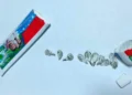 Cəzaçəkmə müəssisəsinə diş məcununun içərisində narkotik keçirilməsinin qarşısı alınıb