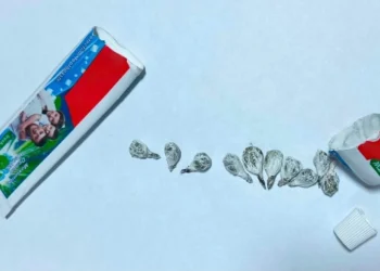 Cəzaçəkmə müəssisəsinə diş məcununun içərisində narkotik keçirilməsinin qarşısı alınıb